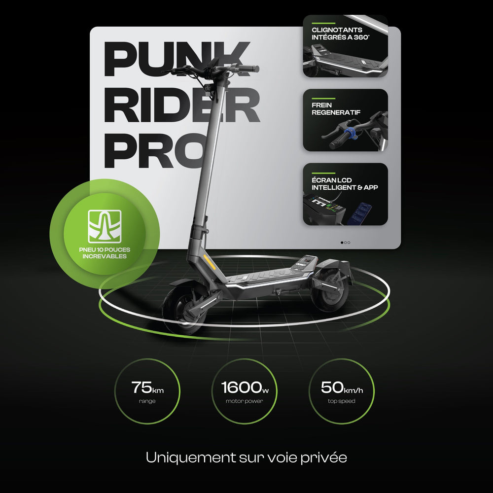 Elektro-Scooter PUNK RIDER PRO