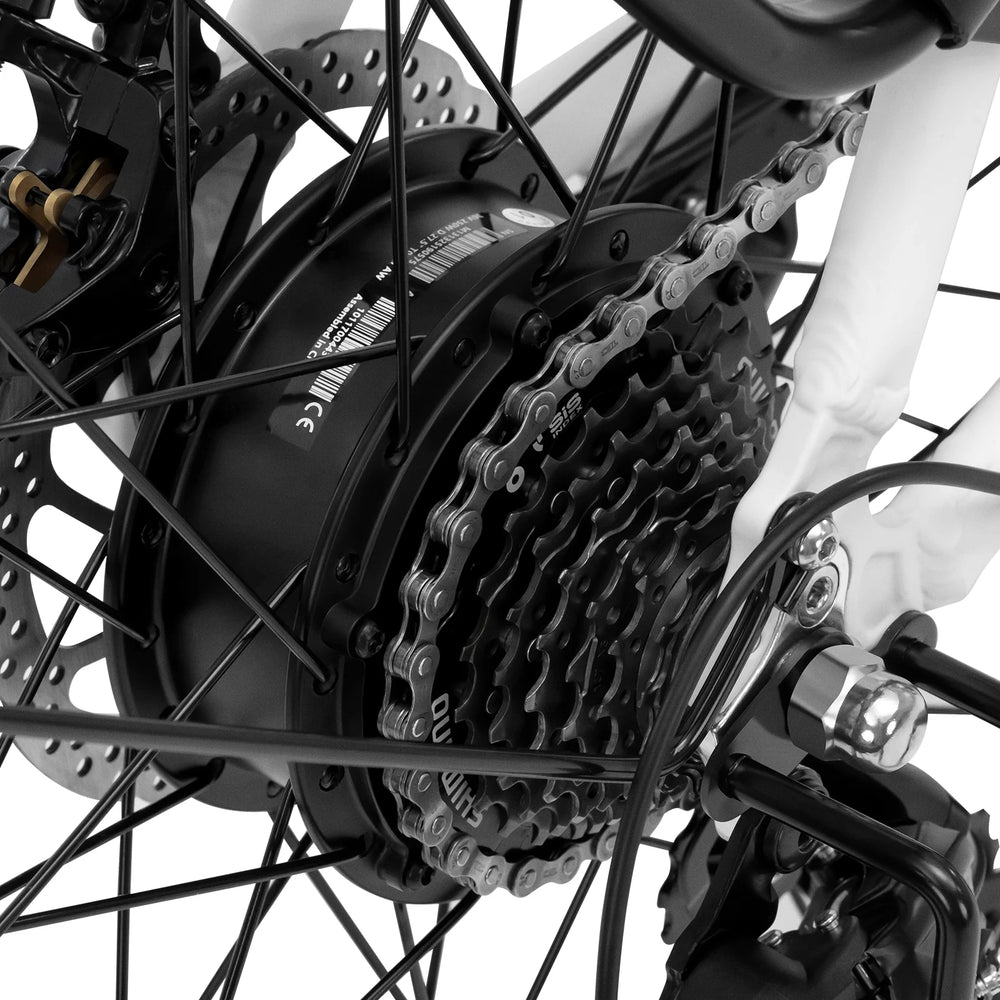Eleglide Elektro-Trekkingbike T1 ST