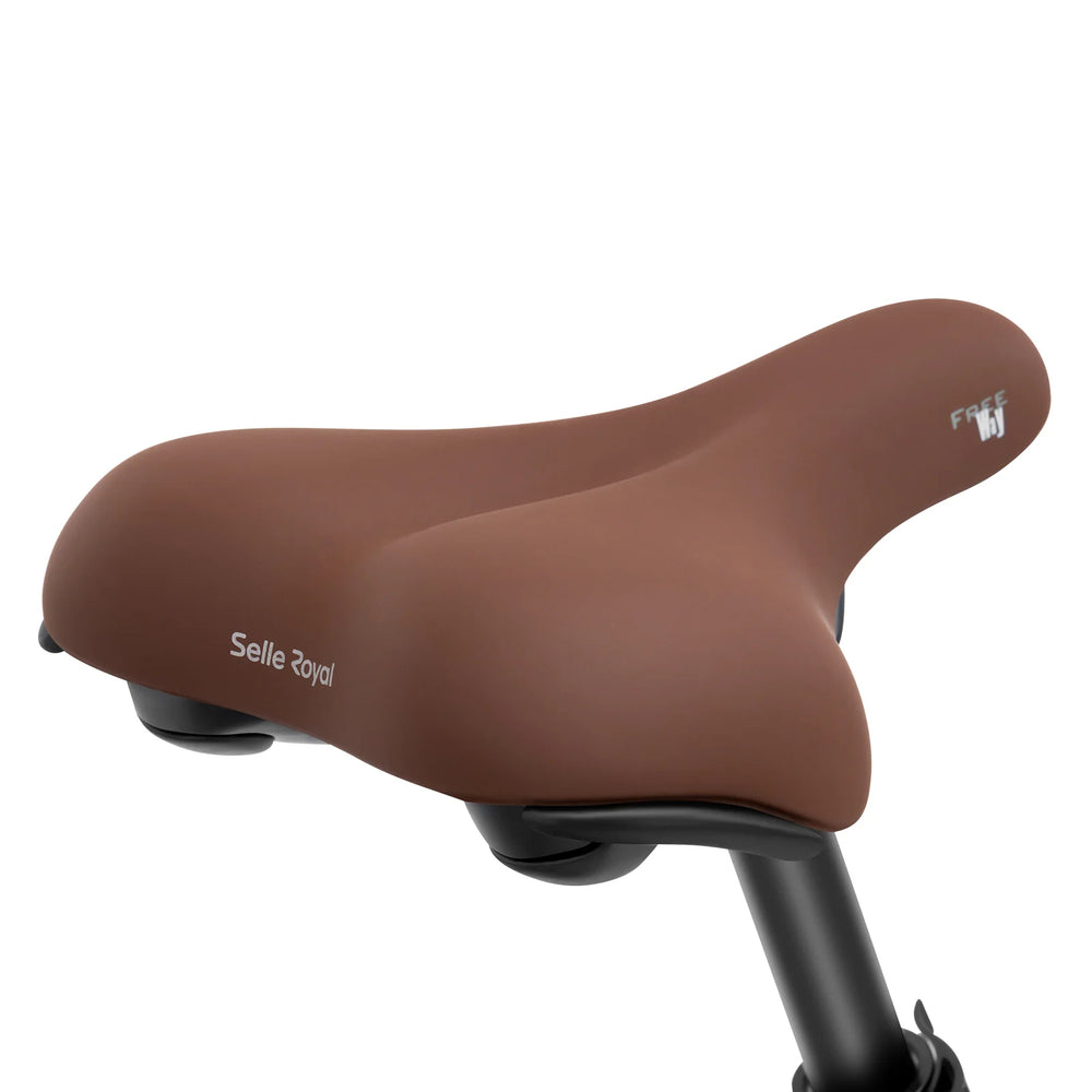 Eleglide Elektro-Trekkingbike T1 ST