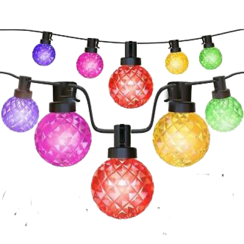 Secret Garden Collection Zia 15M LED Garden String Lights - Black | GL15COL
