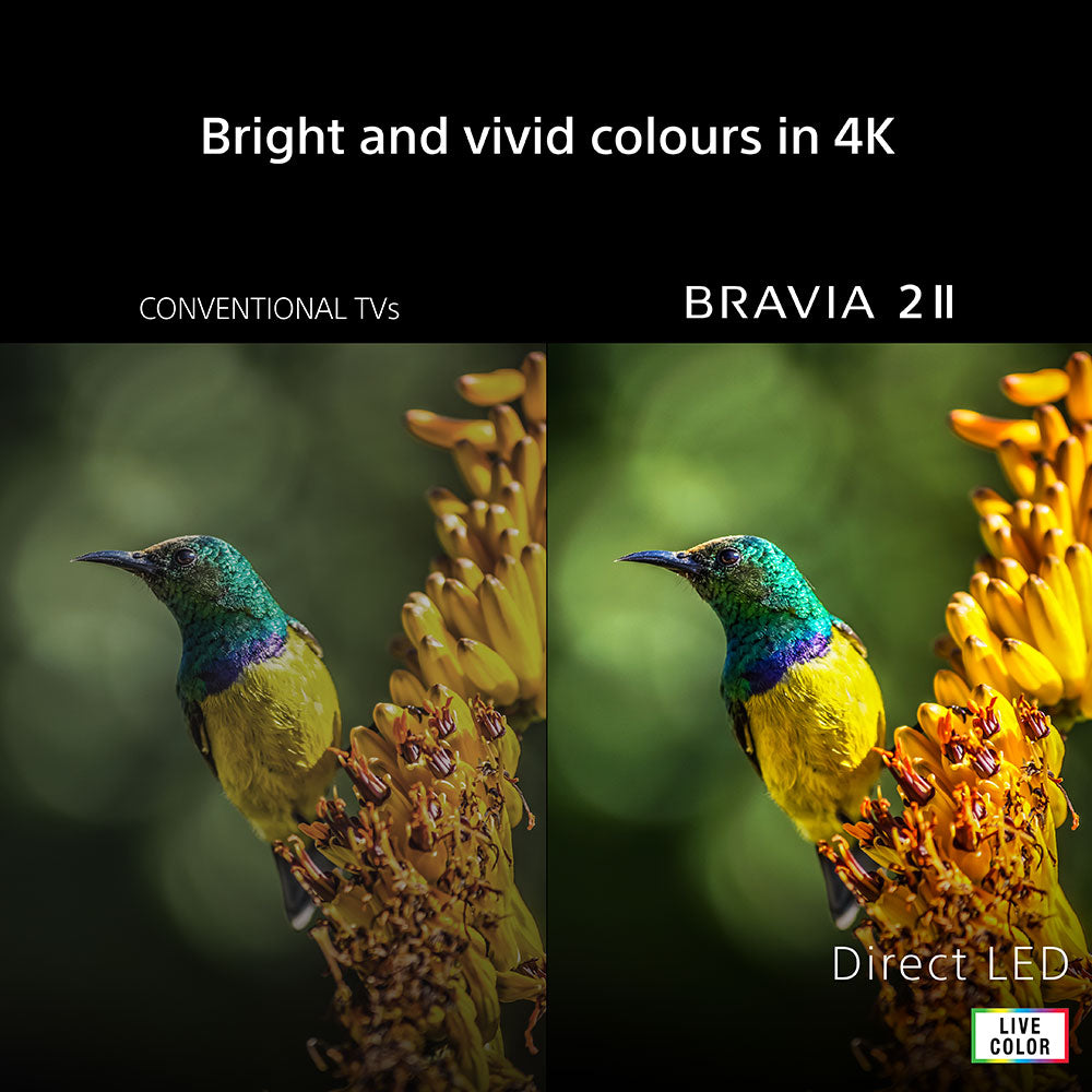 Sony Bravia 2 II 55" 4K Smart TV - Schwarz | K55S25M2PB.UKA