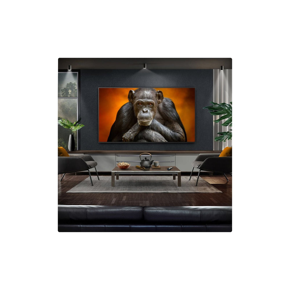 LG evo G5 65" 4K Smart TV | OLED65G54LW.AEK