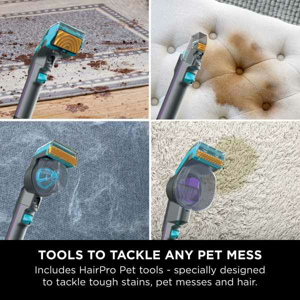 Shark StainStriker HairPro Pet Stain & Spot Staubsauger - Dark Silber & Force Fuscia | PX250UKT