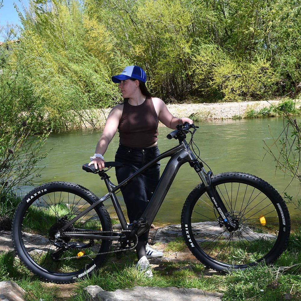 E-MTB UrbanBiker UB300
