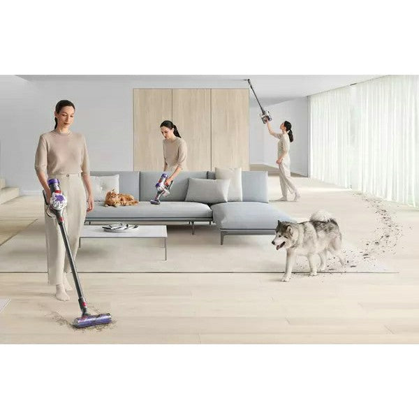 Dyson V8 Absolute 0.54L Akkustaubsauger - Silber Yellow | V8ABT