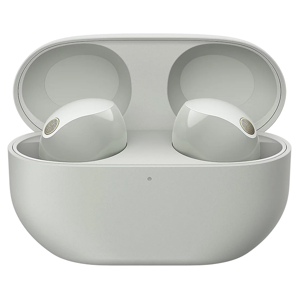 Sony In-Ear True Wireless Earbuds - Platinum Silver | WF1000XM5SCE7