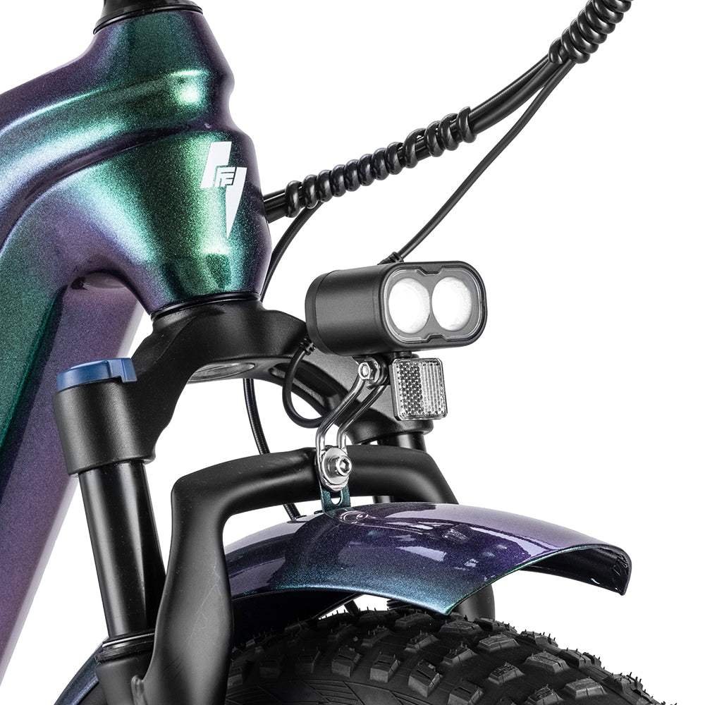 Fafrees F20 Master 500W 20″ Fat-E-Trekking-Bike Carbonrahmen