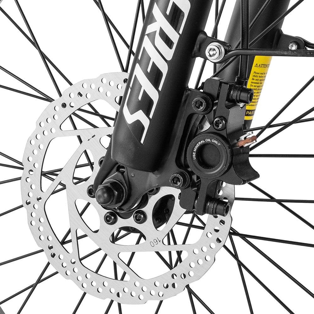 Fafrees F20 Master 500W 20″ Fat-E-Trekking-Bike Carbonrahmen
