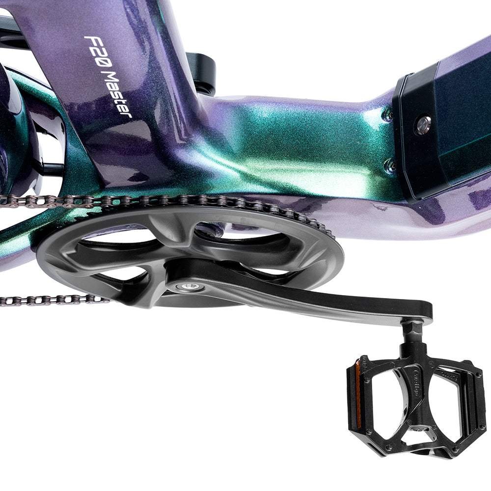 Fafrees F20 Master 500W 20″ Fat-E-Trekking-Bike Carbonrahmen