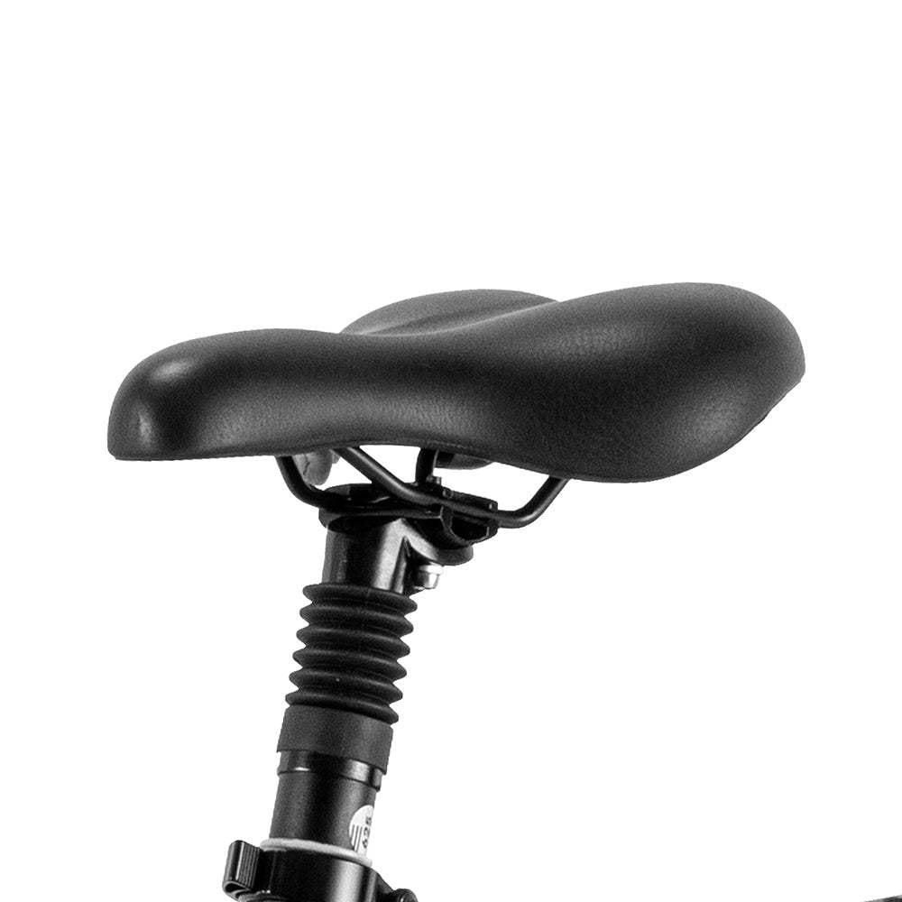 Fafrees F20 Master 500W 20″ Fat-E-Trekking-Bike Carbonrahmen