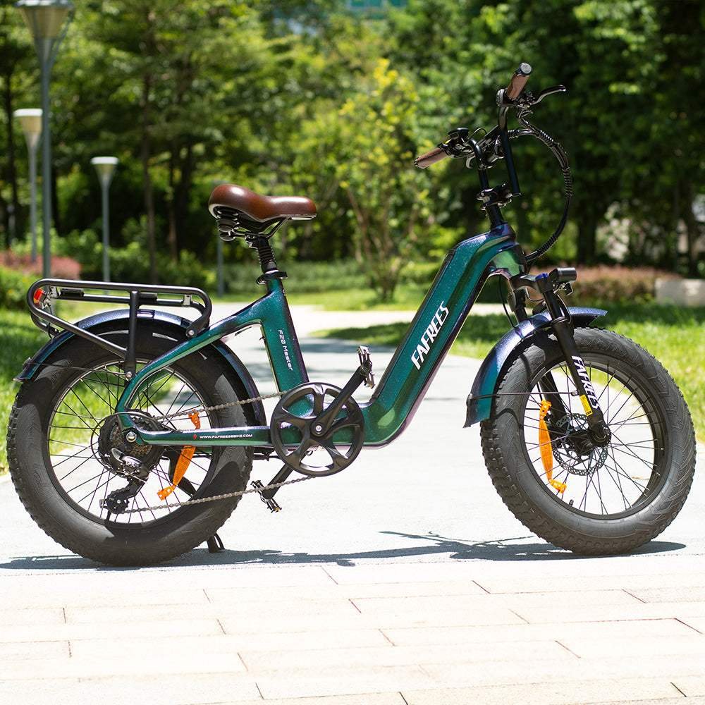 Fafrees F20 Master 500W 20″ Fat-E-Trekking-Bike Carbonrahmen
