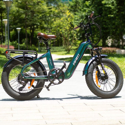 Fafrees F20 Master 500W 20″ Fat-E-Trekking-Bike Carbonrahmen