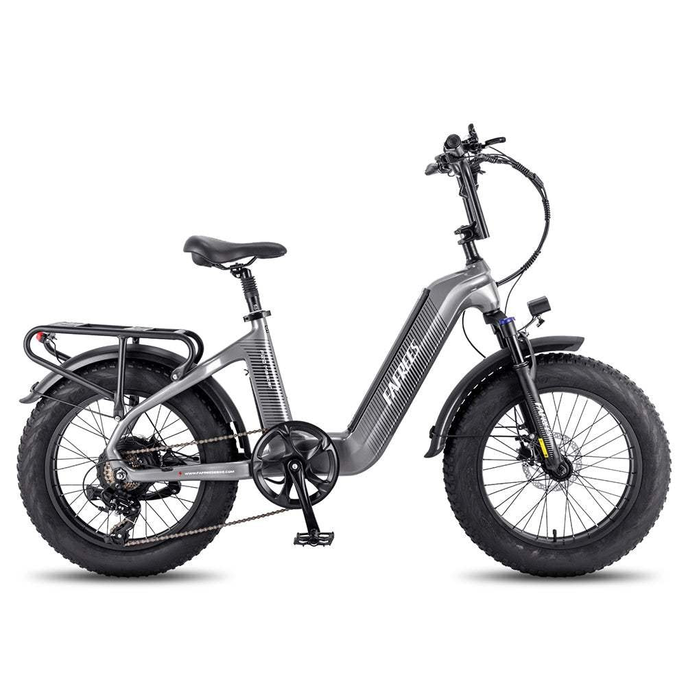 Fafrees F20 Master 500W 20″ Fat-E-Trekking-Bike Carbonrahmen
