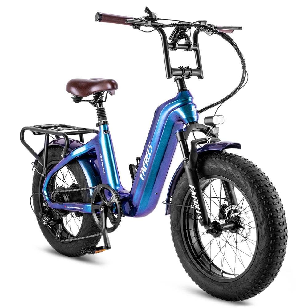 Fafrees F20 Master 500W 20″ Fat-E-Trekking-Bike Carbonrahmen