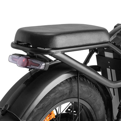 Fafrees F20 X-Max 750W 20″ Klapp-Fat-E-Bike