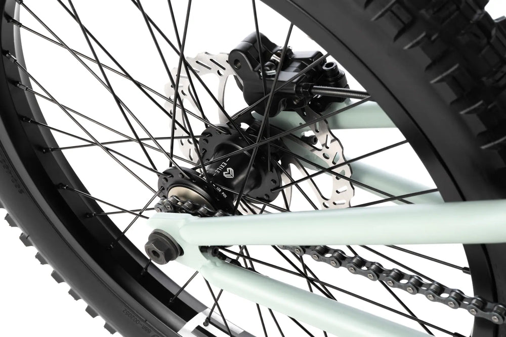 Wethepeople The Swamp Master 20″ BMX-Bike