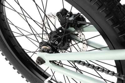 Wethepeople The Swamp Master 20″ BMX-Bike