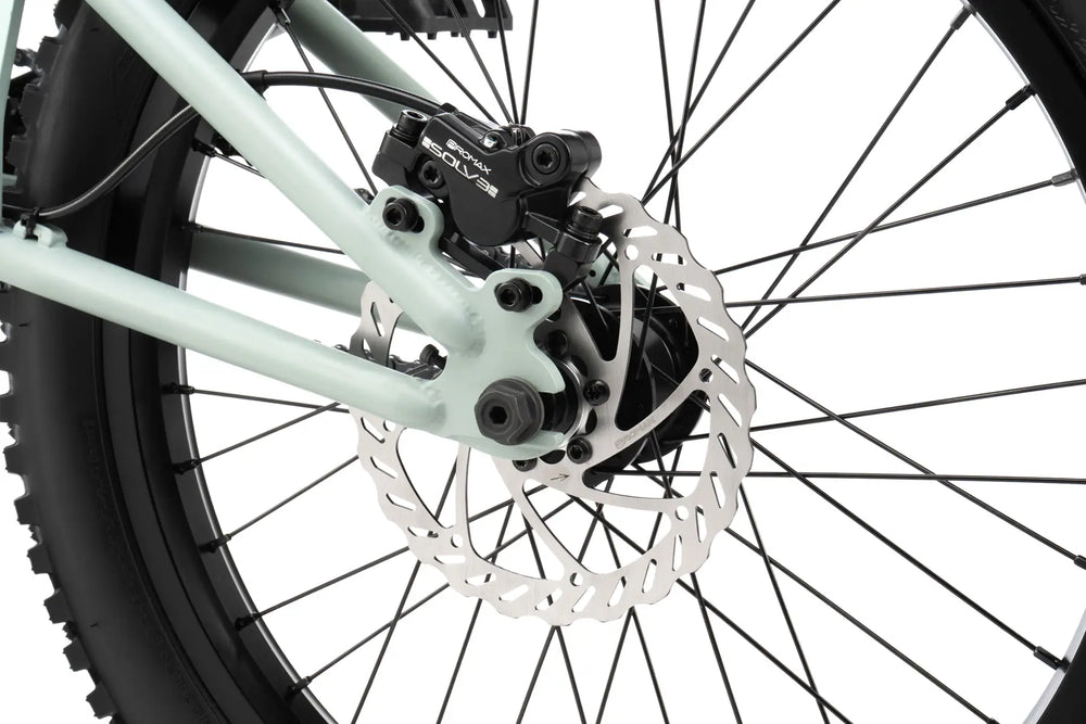 Wethepeople The Swamp Master 20″ BMX-Bike